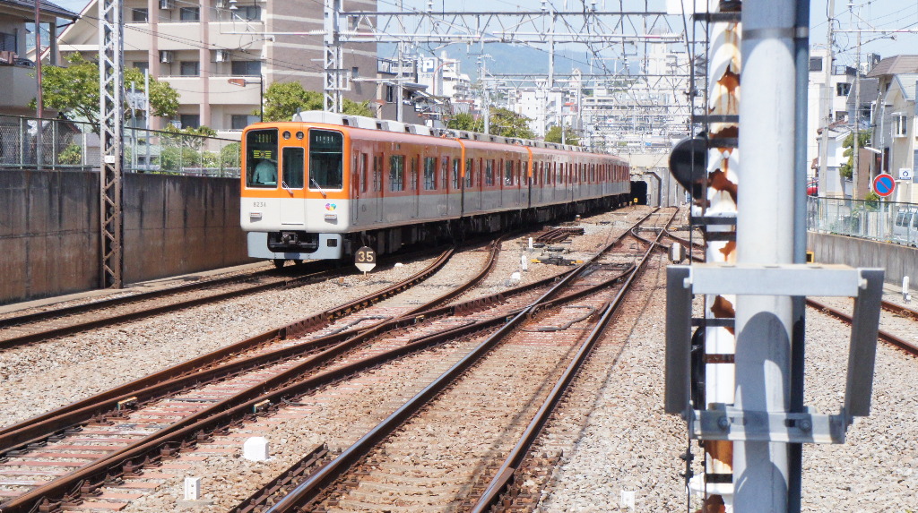 イメージ 1