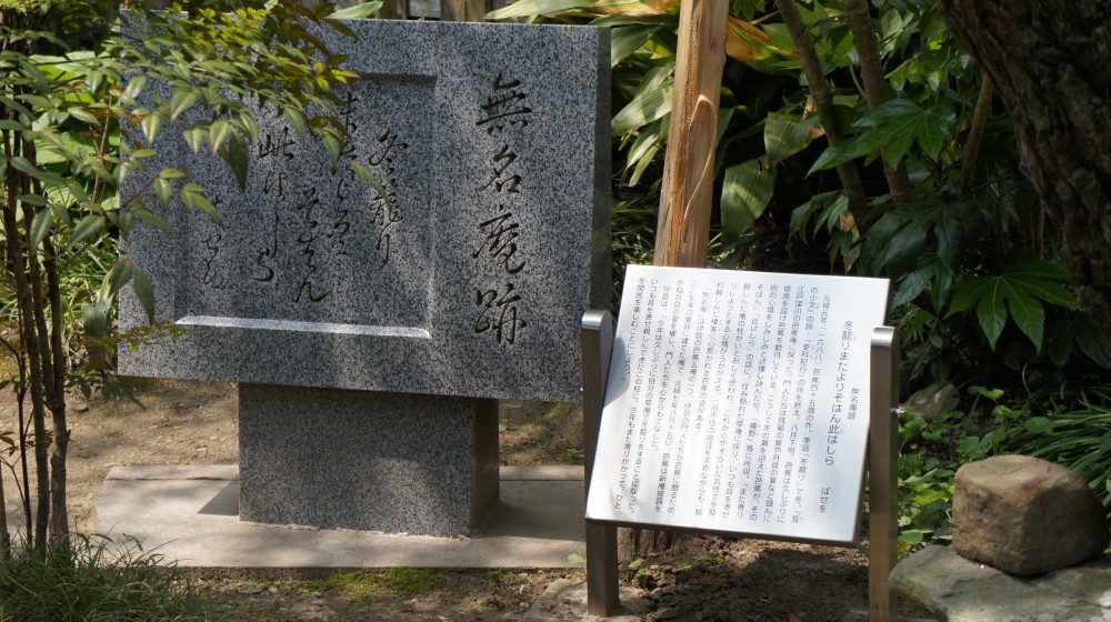 イメージ 8