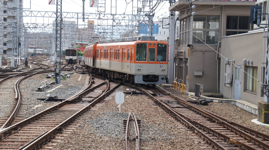 イメージ 8