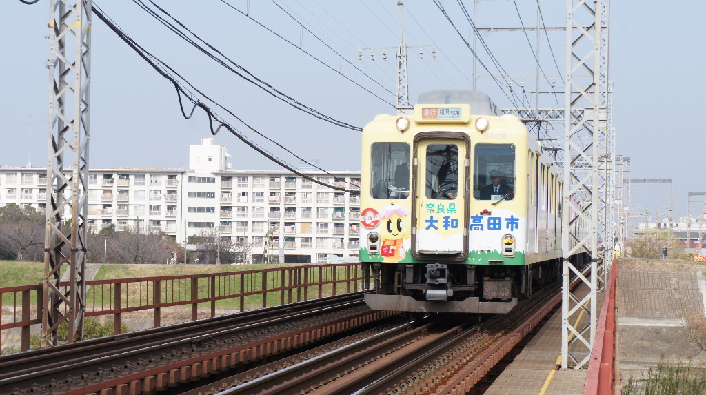 イメージ 8