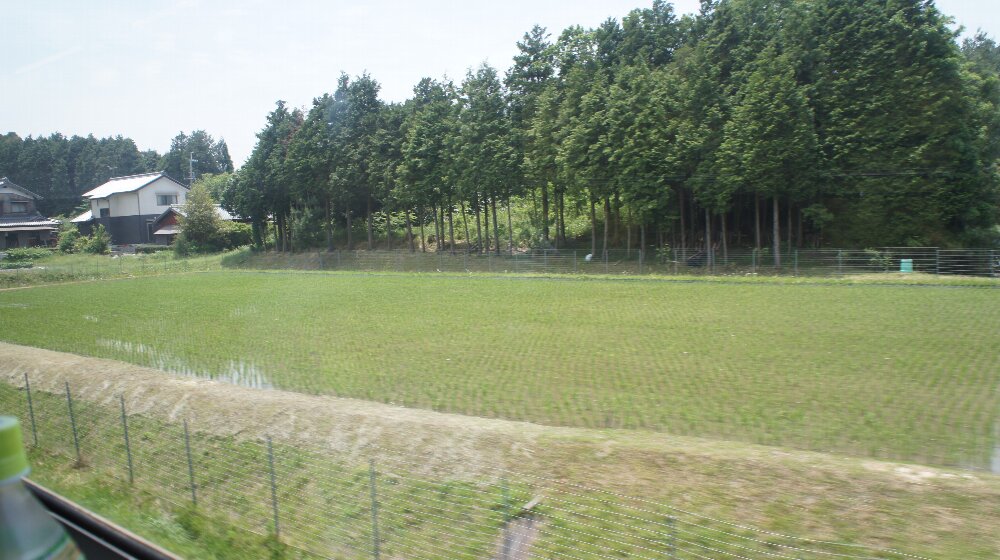 イメージ 6