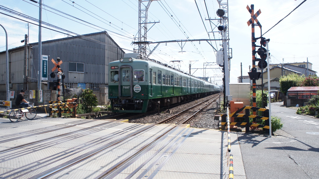 イメージ 7