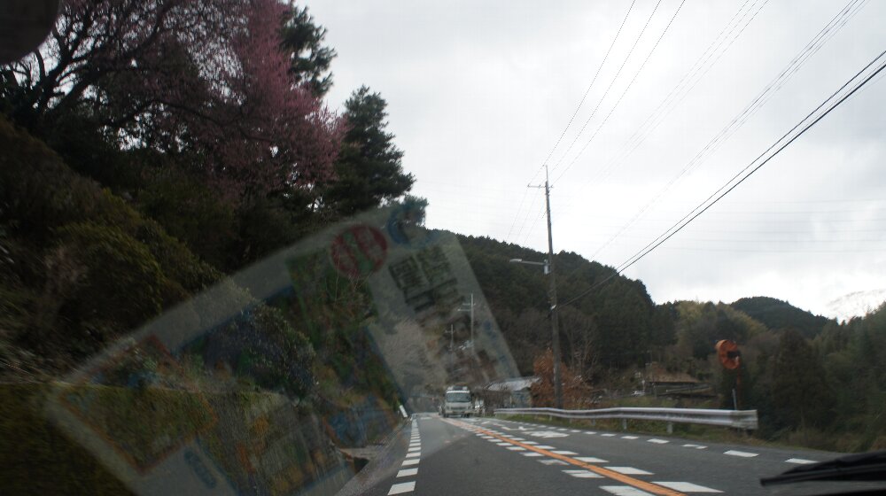 イメージ 4