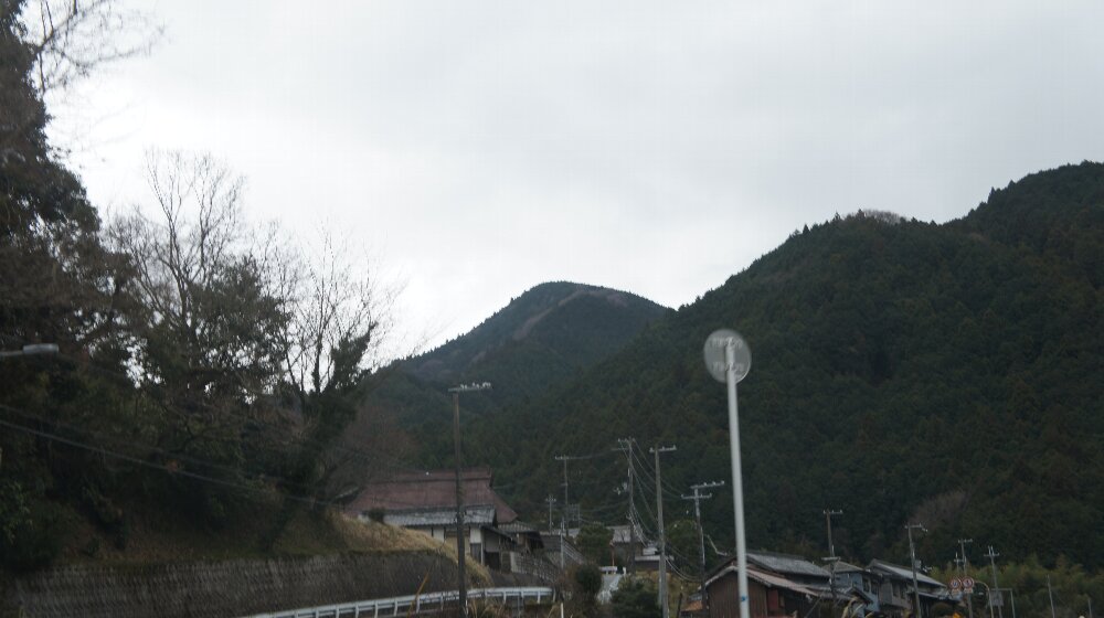 イメージ 7