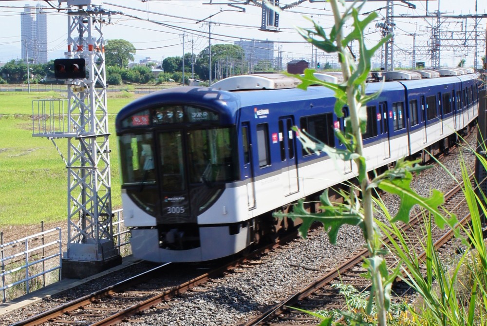 イメージ 9