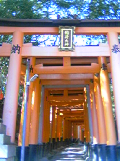 イメージ 5