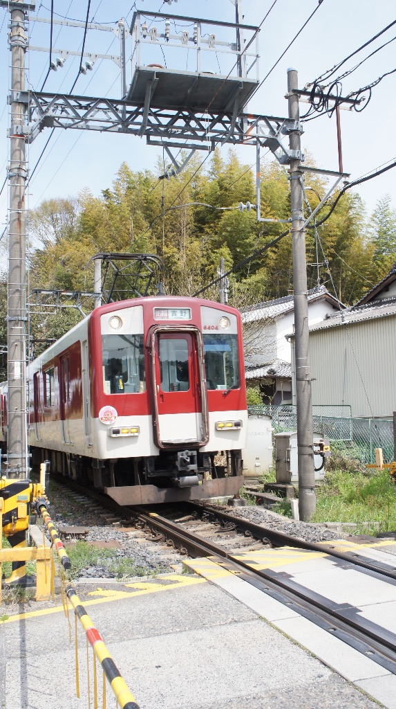 イメージ 7