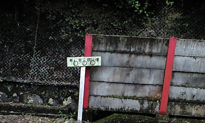 イメージ 6
