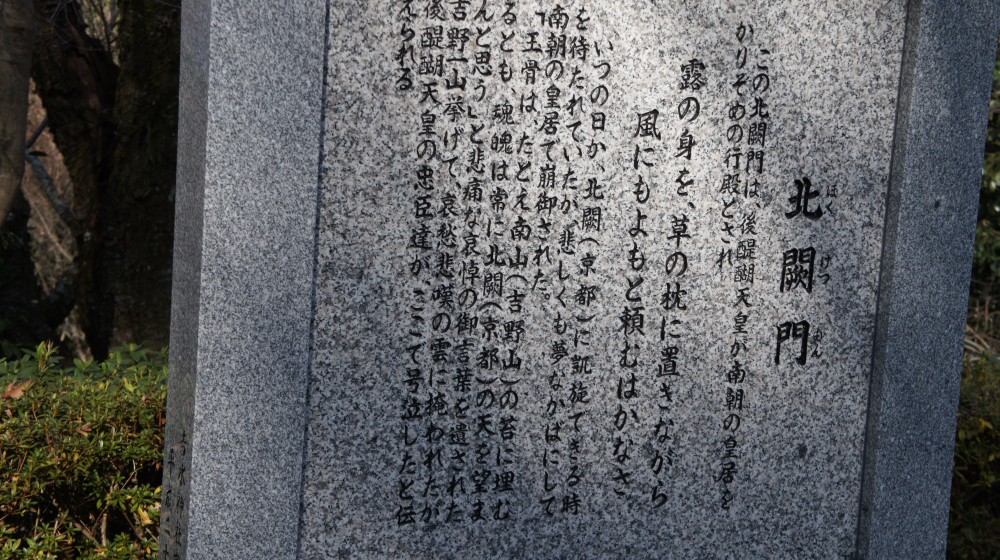 イメージ 11