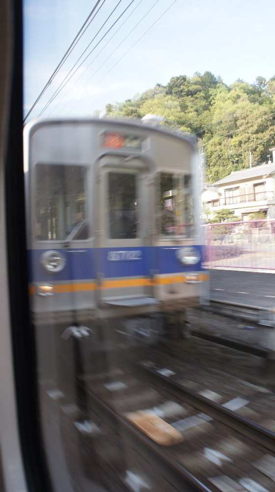 イメージ 7