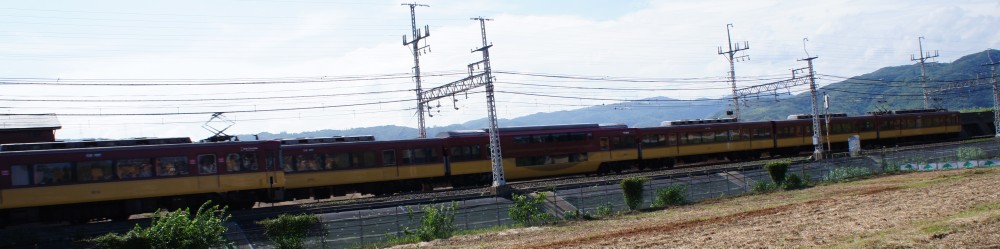 イメージ 13