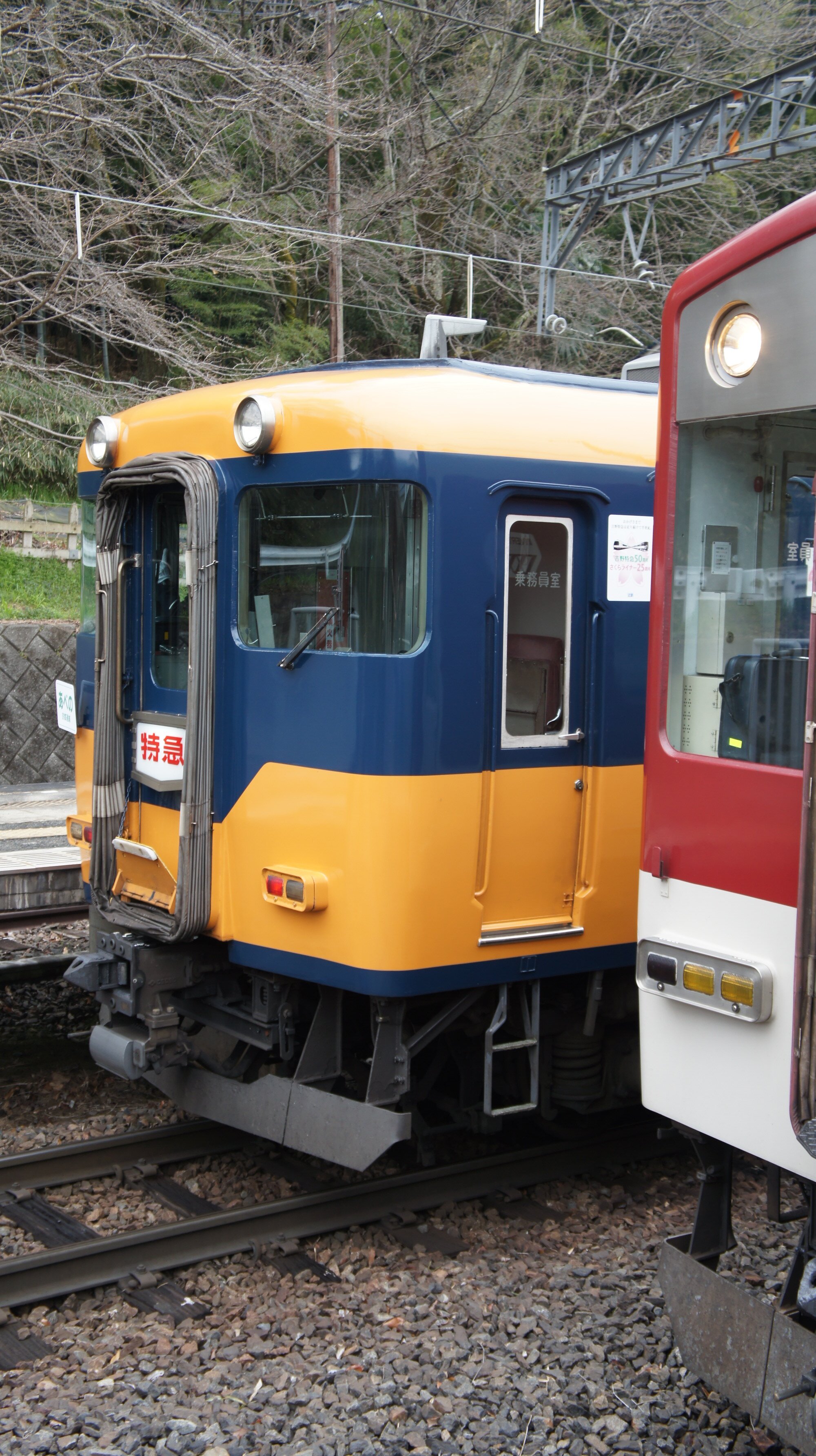 イメージ 2