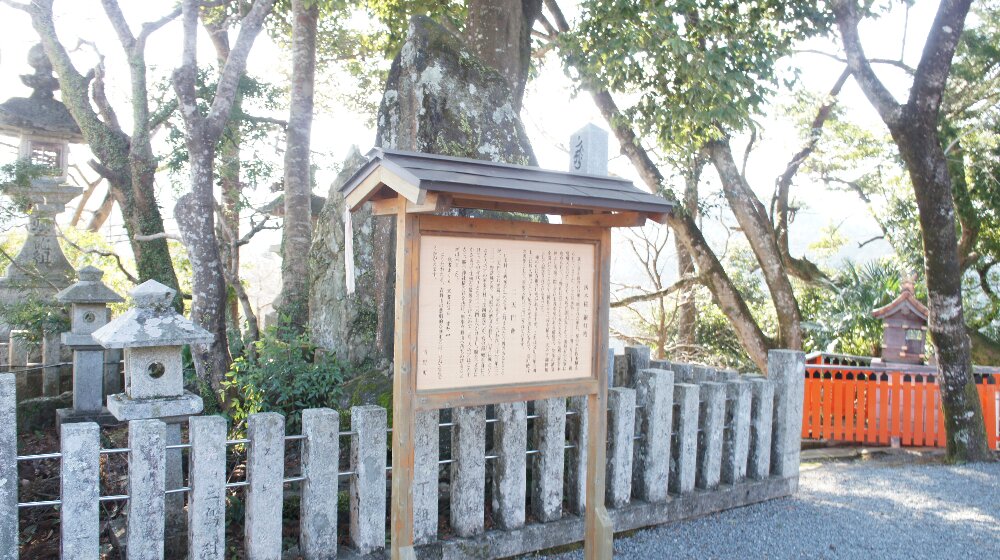 イメージ 16