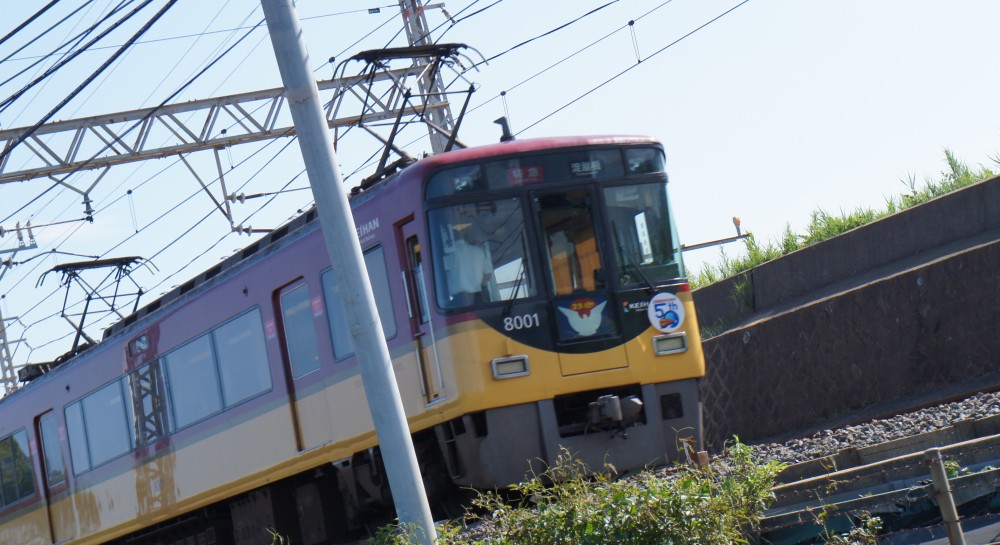 イメージ 9